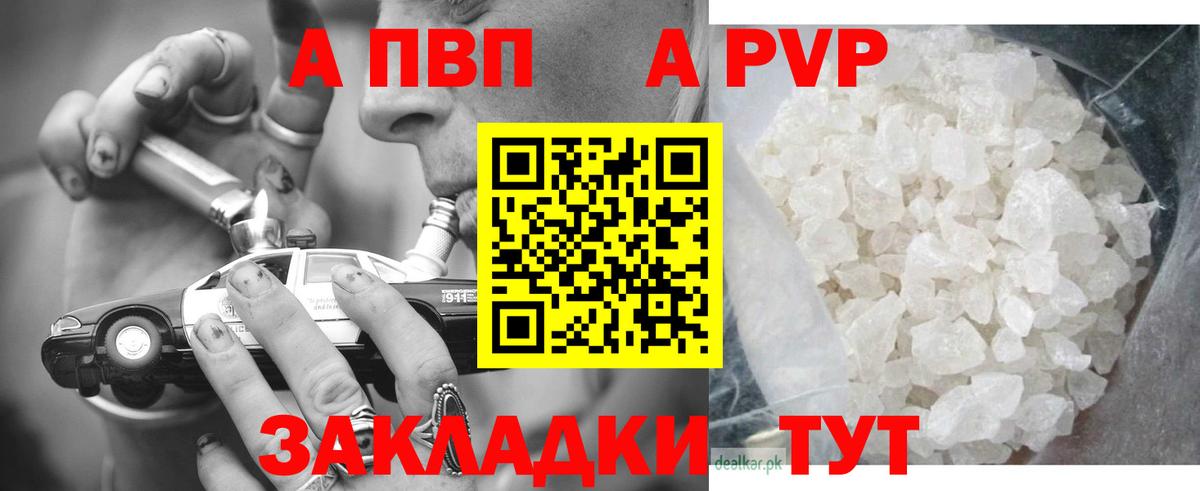 Кузнецк  APVP  Вход с VPN  Альфа ПВП СК КРИС 