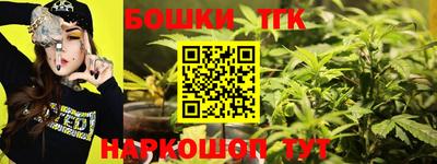 гидропоника Камышлов