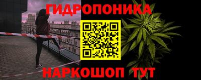 гидропоника Камышлов