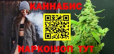 гидропоника Камышлов