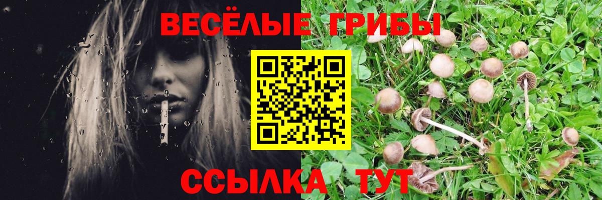 Псилоцибиновые грибы ЛСД Кузнецк