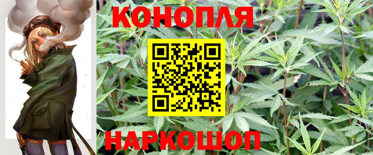 Конопля план Кузнецк
